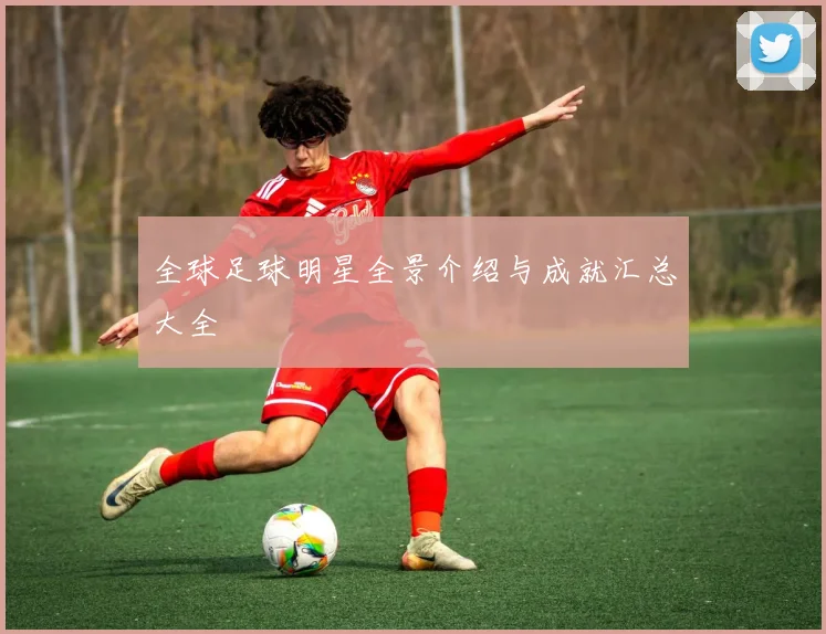 全球足球明星全景介绍与成就汇总大全